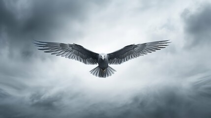 Fototapeta premium sky gray clouds