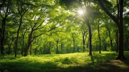 Obraz premium sustainable green holidays