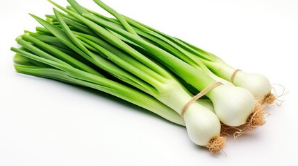 compositi green onion isolated on white