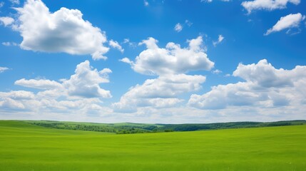 Obraz premium resistance black freedom