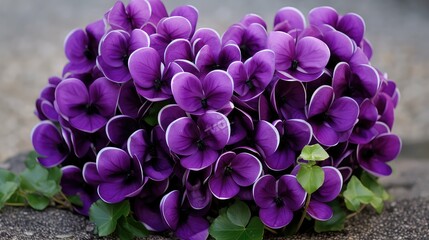 bouquet purple hearts