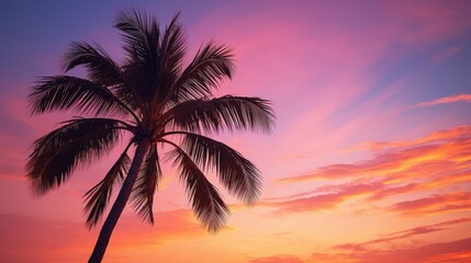Obraz premium leaves pink palm tree