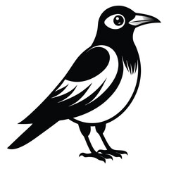 Obraz premium bird on a white background vector
