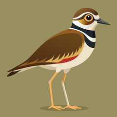 vector illustration of a cartoon bird