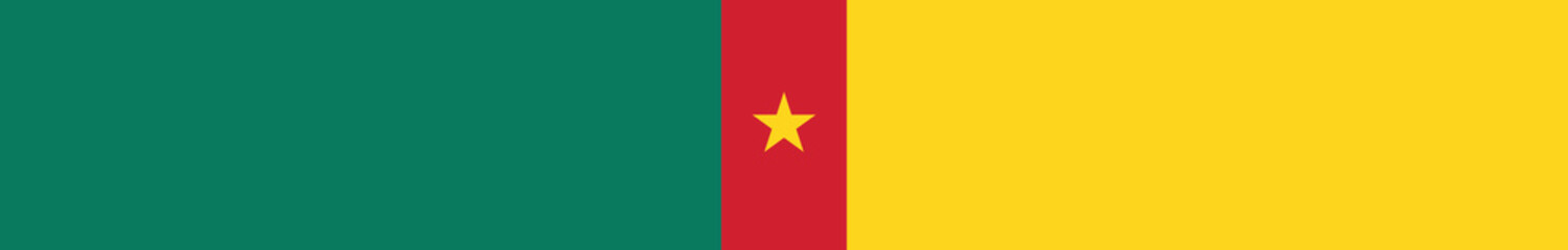 Flag of Cameroon. Cameroon flag long banner digital vector illustration