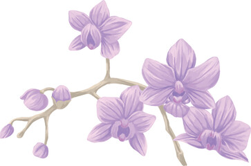 orchid Branch painting botanical illustration