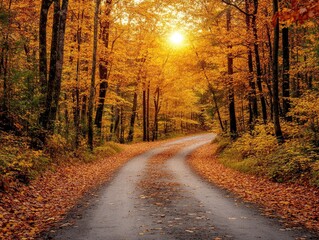 Obraz premium Autumnal road curves through vibrant forest, sunlight filters through golden leaves. Perfect for fall themes, travel, and nature concepts; evokes feelings of peace and tranquility.