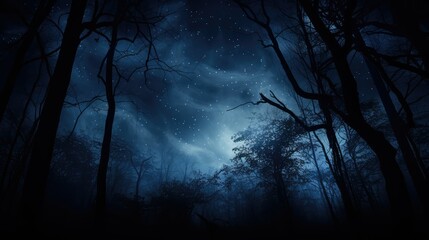 Obraz premium mystery trees night