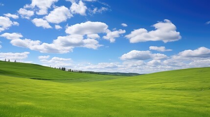 Obraz premium grass green field with sky