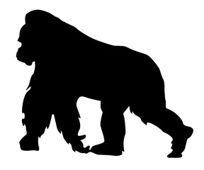 Gorilla vector silhouette
