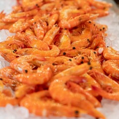 Food is any substance consumed to provide nutritional support for the body. It typically comes from plants, animals, or fungi and contains essential nutrients such as carbohydrates, proteins, fats, vi