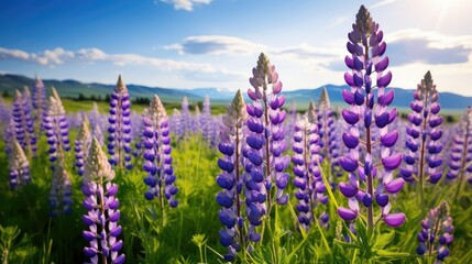 Obraz premium blooming spring wildflower