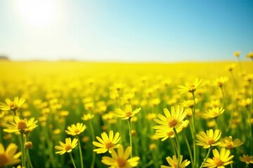 Obraz premium Vibrant Yellow Flowers Basking in Sunlight Across a Vast Field, a Serene and Peaceful Summer Day Scene