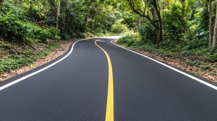 Fototapeta premium Winding road journey lush forest scenic photography serene environment aerial view nature exploration