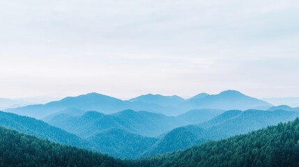 Naklejka premium Layered blue mountain ranges covered in dense green pine forests stretch out under a soft, hazy sky during a calm day.