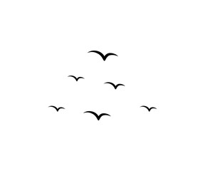 A flock of flying birds. Bird silhouettes in the sky. Birds flying illustration vector.