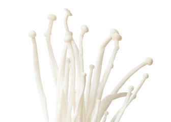 A bunch of white mushrooms with a white background