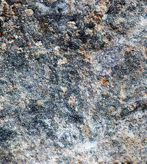A rock with a lot of dirt and grime on it