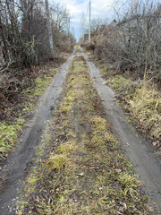 Fototapeta premium A dirt road with a few trees in the background