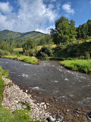 River Cherga in Altai. A river stretch with clear green water.