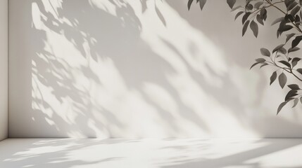 Minimalist White Wall and Floor Scene with Natural Shadows