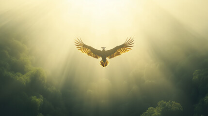 Obraz premium soaring majesty: a majestic eagle soars gracefully through the radiant sky, bathed in golden sunlight, and over a lush, misty forest. 