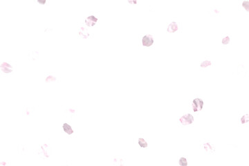 Fluttering cherry blossom petals