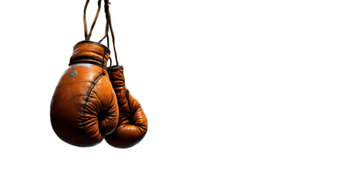 Pair of boxing gloves on transparent background, vector, illustration.
