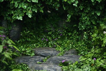 Obraz premium Lush jungle scene, rocks, flowers, vines, background, product display