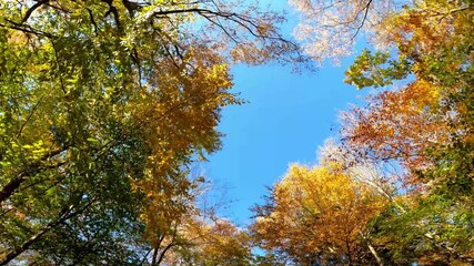 Cherry Plain Driving 0302 New York