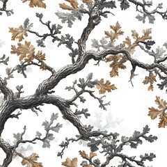 Fototapeta premium Leaf of oak isolated on white background.