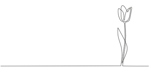One line continuous tulip. Flowers concept banner in line art hand drawing style. Outline vector illustration.