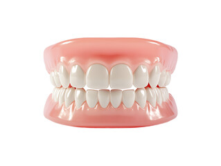 Obraz premium Full Set of Dentures, PNG Transparent