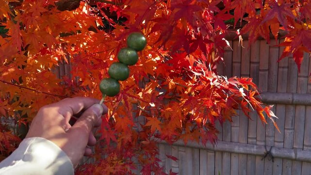 Japanese skewered sweet dumplings with male hand behind red leaves at the old
