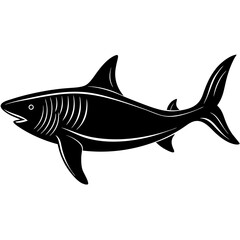 Silhouette of a Great White Shark Swimming in the Ocean