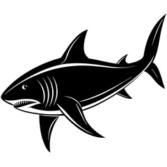 A fierce black and white illustration of a great white shark swimming powerfully