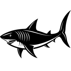 A fierce black and white illustration of a great white shark swimming