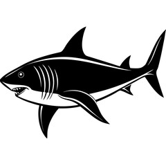 A fierce black and white illustration of a great white shark swimming