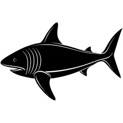 Silhouette of a Great White Shark Swimming in the Ocean