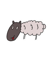 Sheep