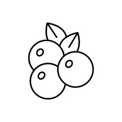 Cranberry  icon isolated on a white background. Vector illustration.