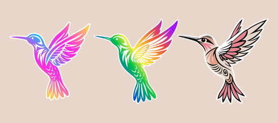 Set colibri, flaying hummingbird Colorful design illustration.
