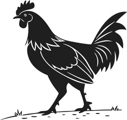 Chicken hen silhouette vector illustration, farm animal, poultry icon, rooster, rural livestock, bird graphic, agriculture, meat industry, minimal black design.