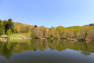 北海道美唄市、東明公園池の春紅葉【5月】