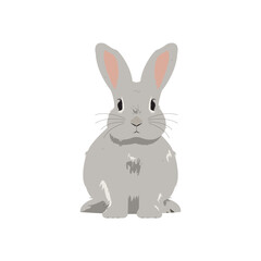 rabbit vector illustration