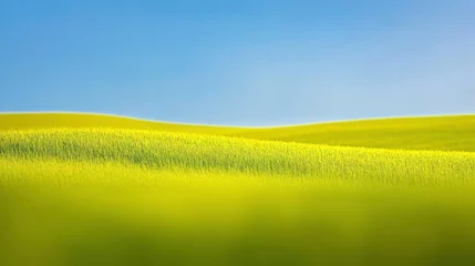 Expansive Green Fields Under Bright Blue Sky with Gentle Horizon