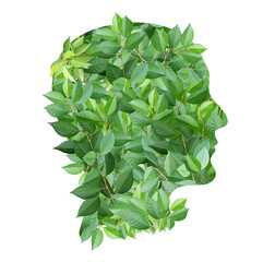 A human profile made of green leaves. Isolated on white. Sustainable development of strategy...
