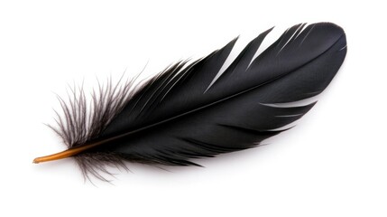 Black Feather Isolated on a White Background. Generative AI