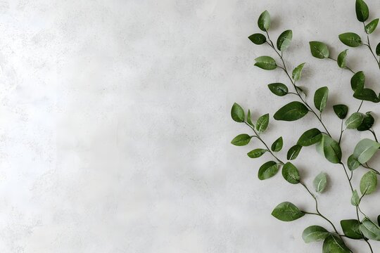 Greenery on grey background, copy space, flatlay