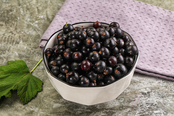 Ripe black currant in the bowl